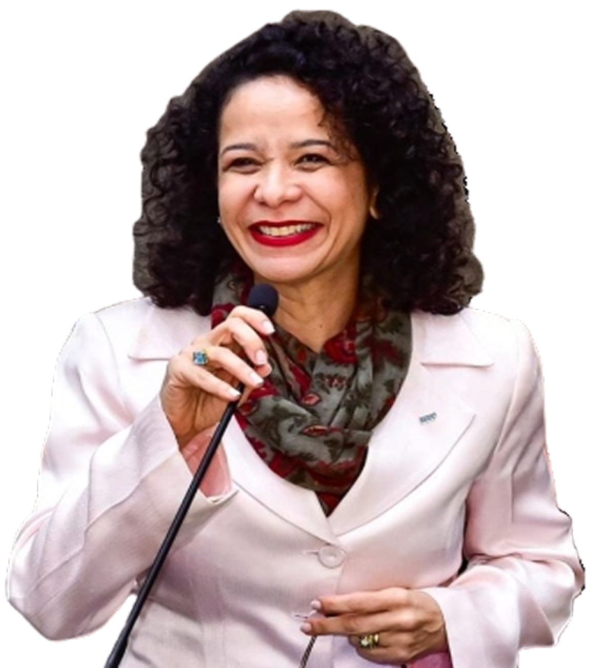 Imagem do Formulário